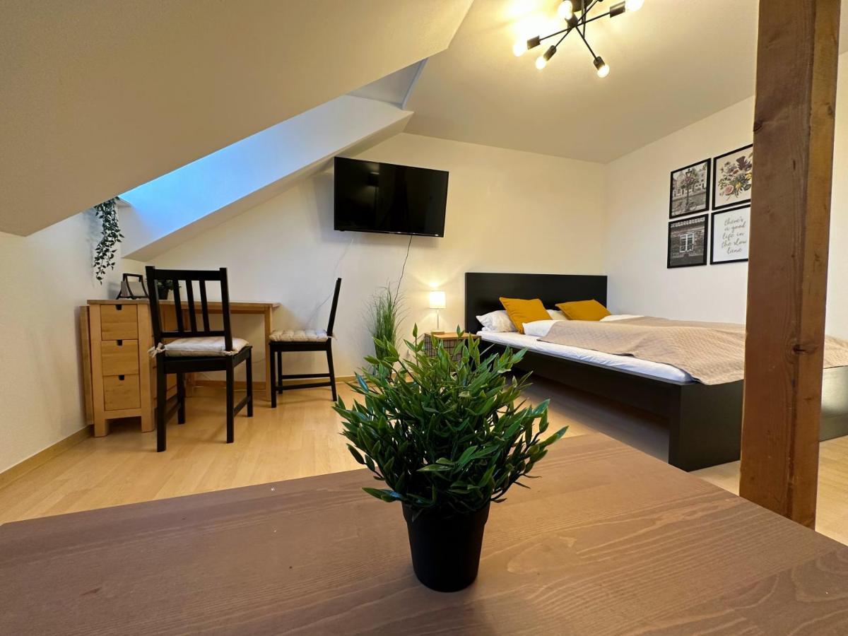 Gemuetliche, Charmante Ferienwohnung Naehe Zentrum Plauen Luaran gambar